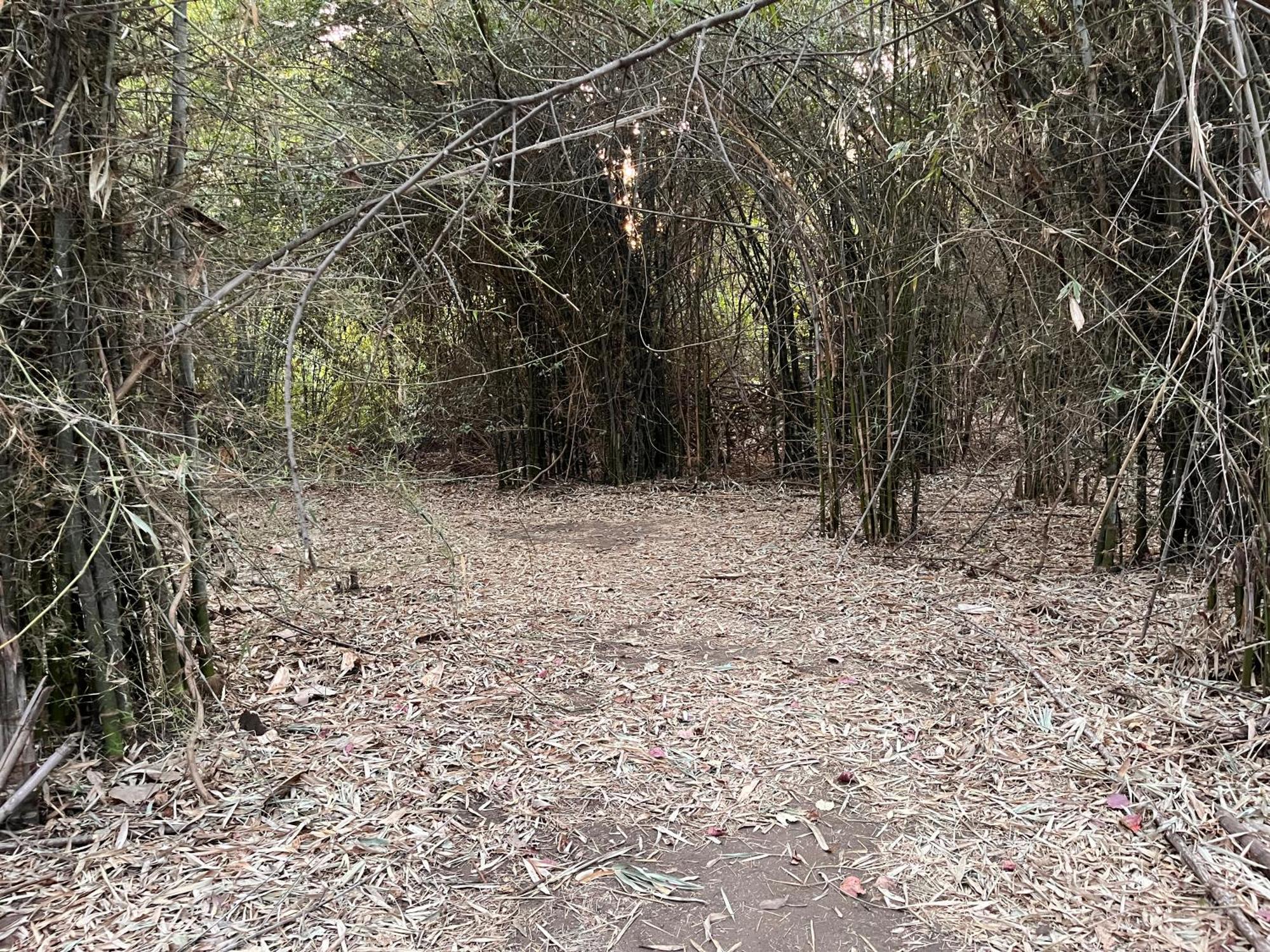 Brook Ville Sasan Gir Bagian luar foto