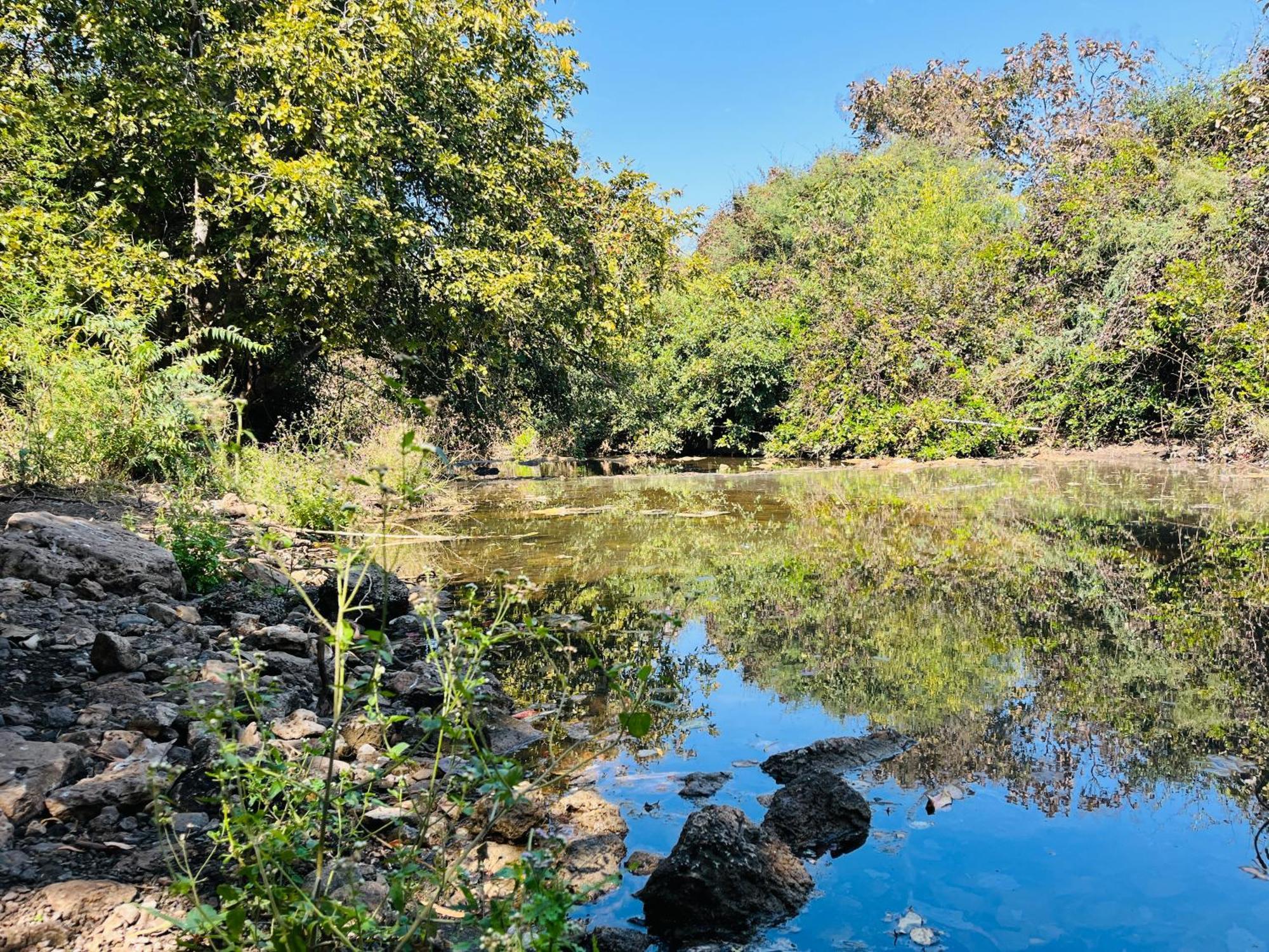 Brook Ville Sasan Gir Bagian luar foto