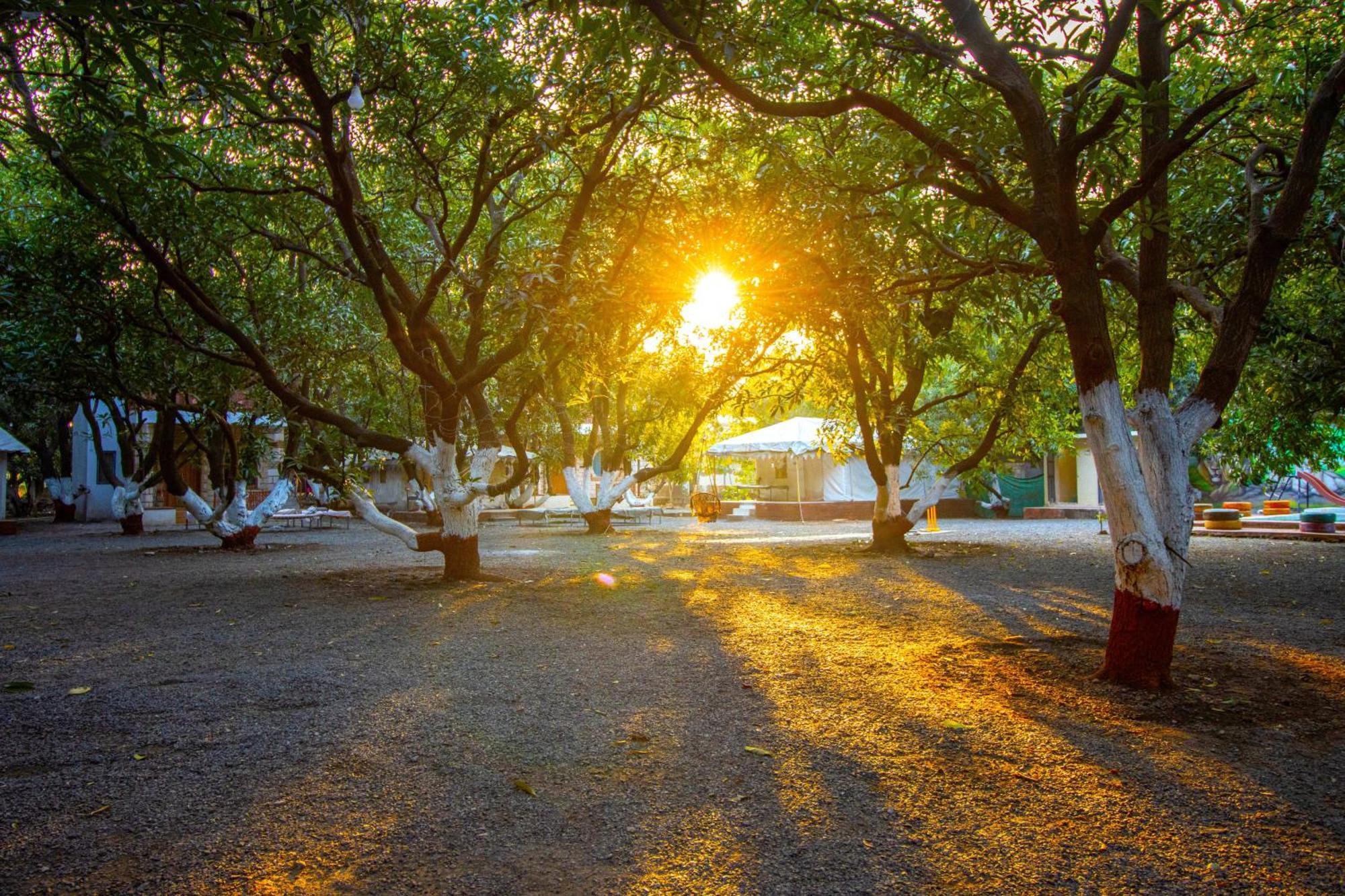 Brook Ville Sasan Gir Bagian luar foto