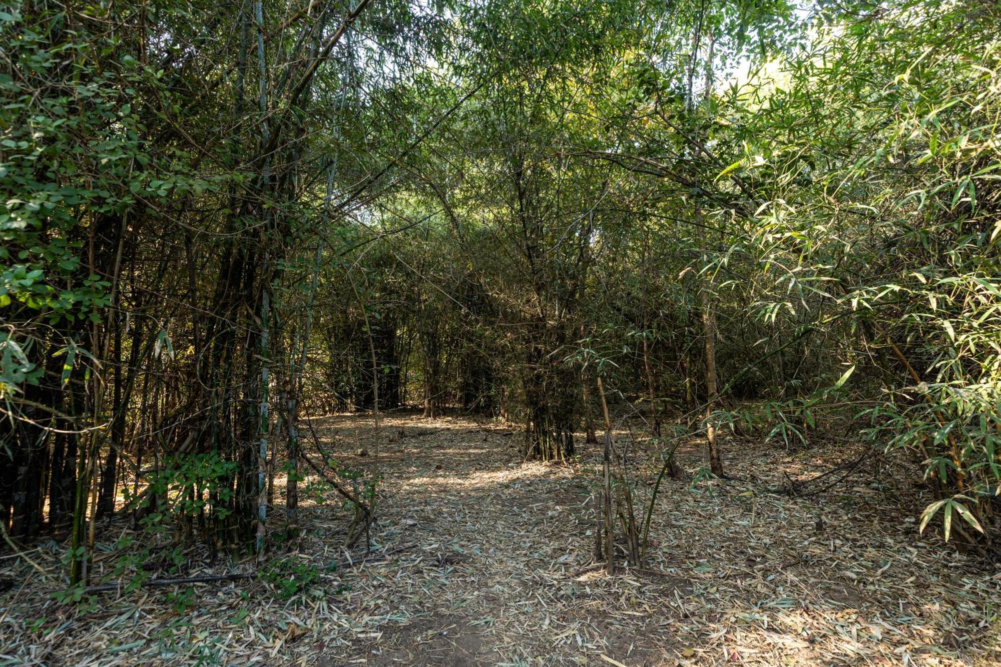 Brook Ville Sasan Gir Bagian luar foto