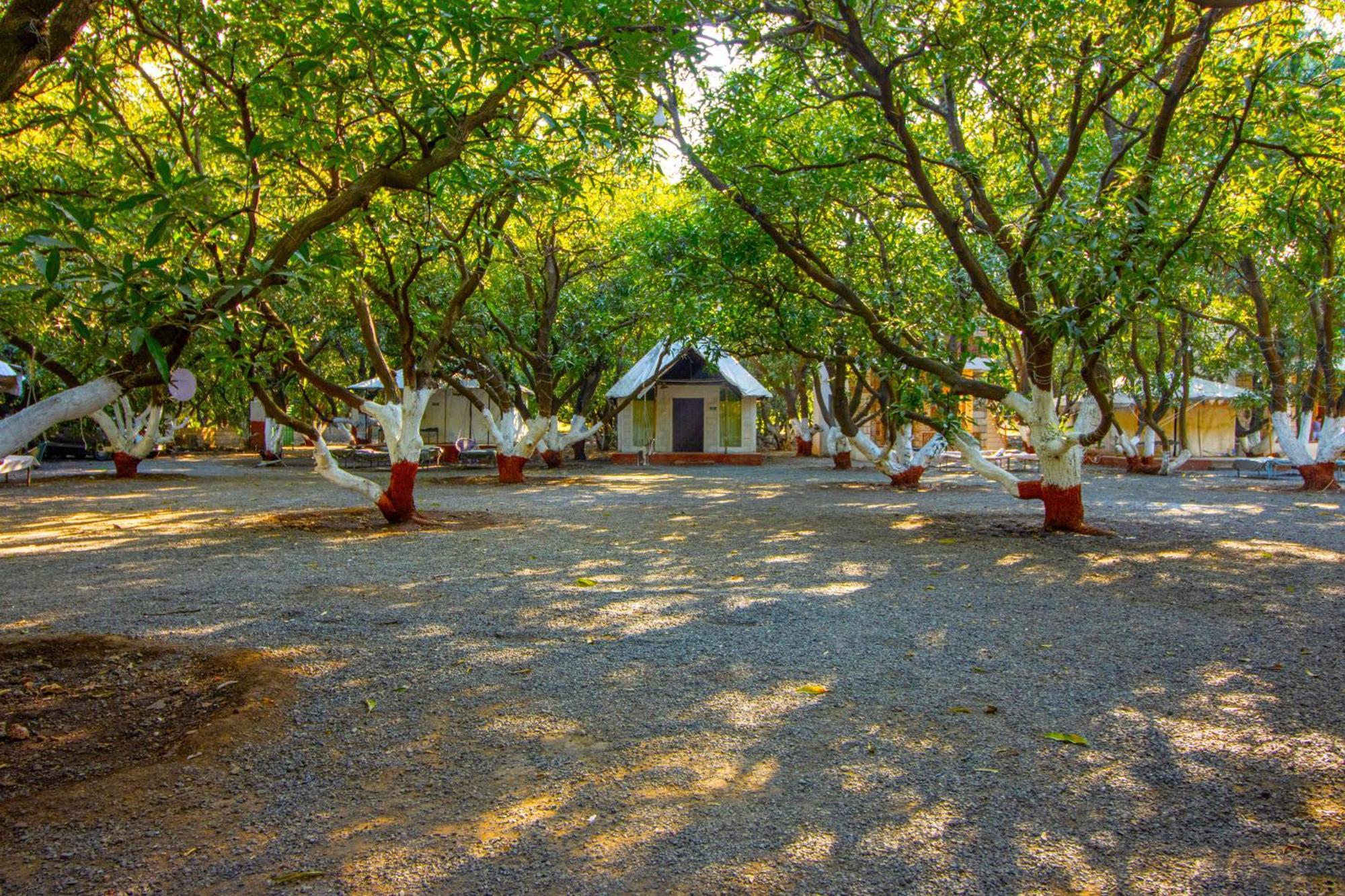 Brook Ville Sasan Gir Bagian luar foto