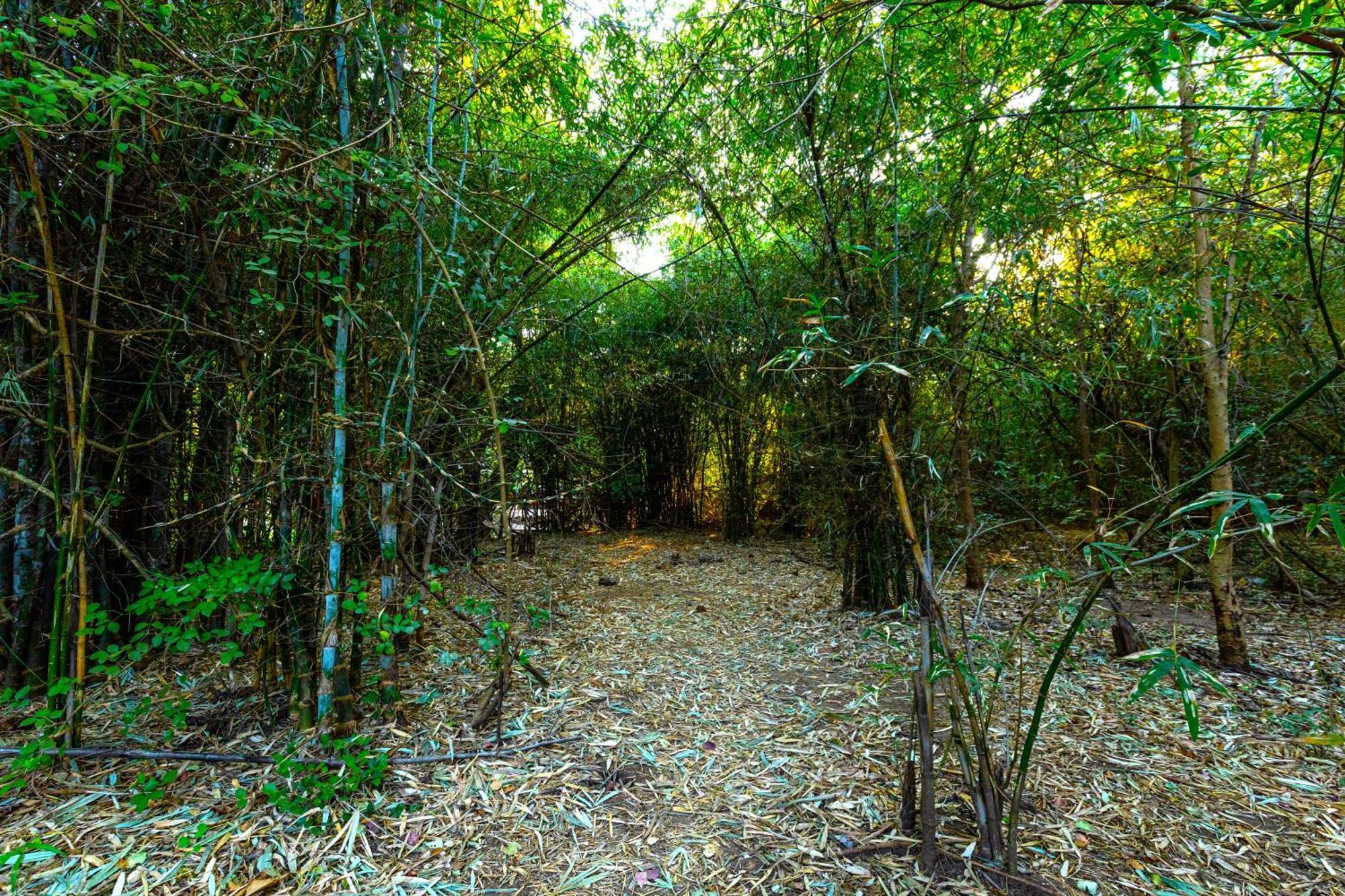 Brook Ville Sasan Gir Bagian luar foto