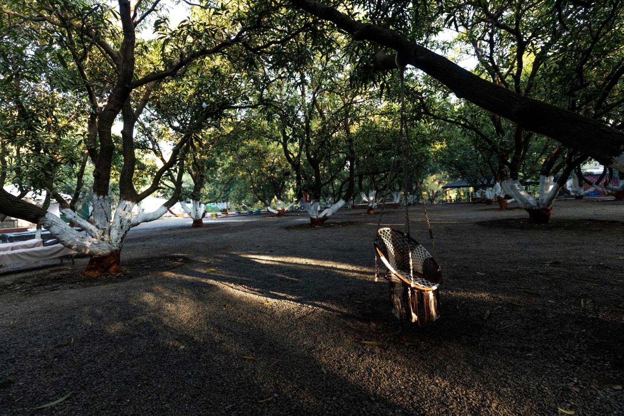 Brook Ville Sasan Gir Bagian luar foto